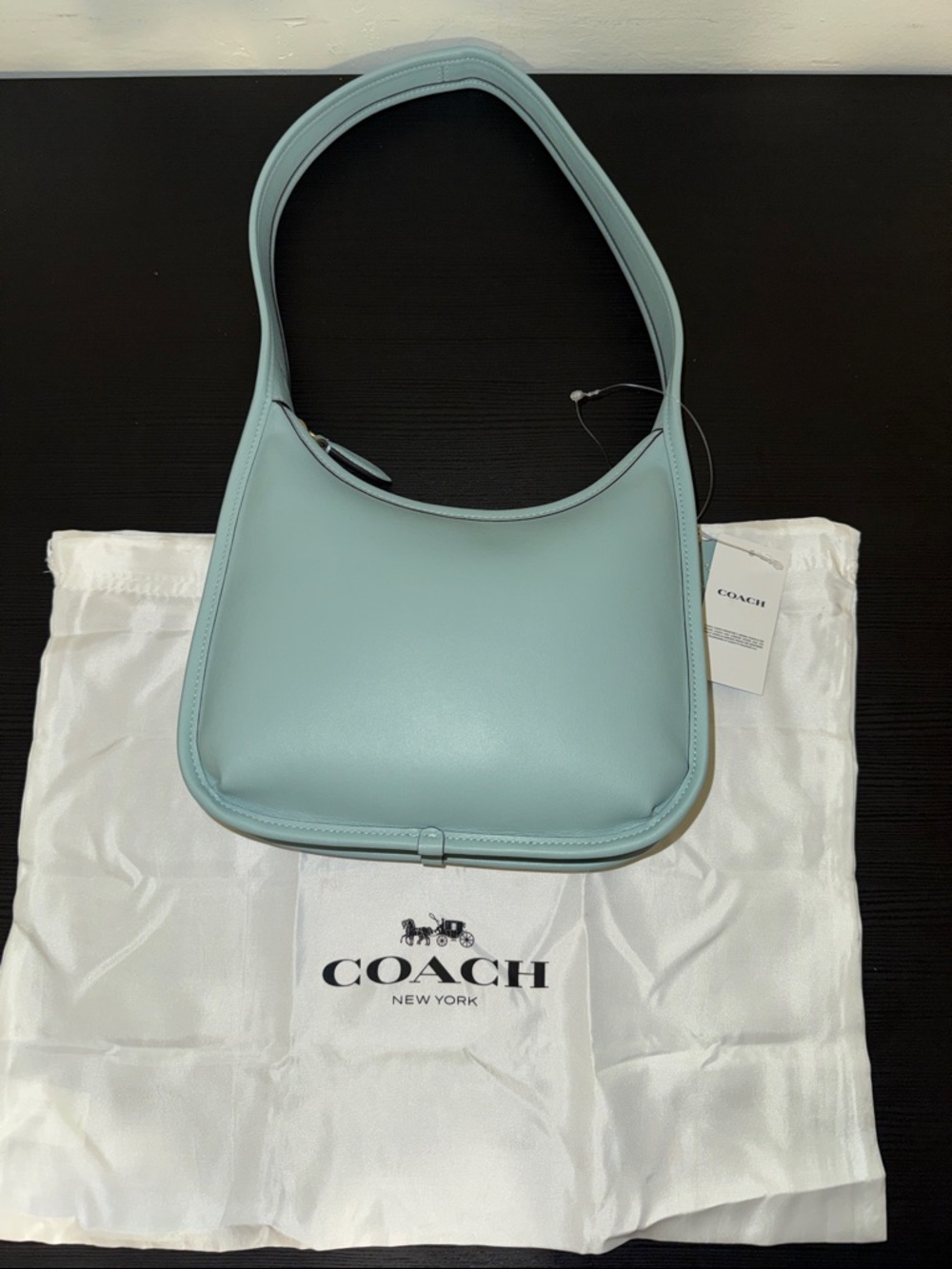Coach Glove Tanned Leather Shoulder Bag in Light Blue- The Curve Zip Bag